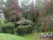 Prodej pozemku pro bydlení, Mladějov, 382 m2