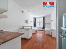 Pronájem bytu 1+kk, Plzeň, Vrchlického, 27 m2