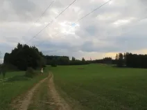 Dražba pole, Počátky, 11945 m2