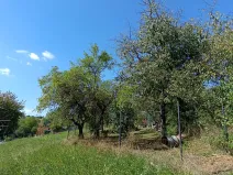 Prodej zahrady, Bojkovice, 1208 m2