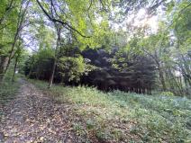 Prodej lesa, Lánov - Horní Lánov, 15278 m2