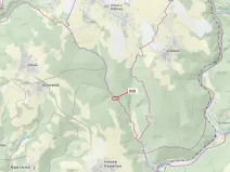 Dražba lesa, Jílové u Držkova, 151 m2