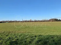 Prodej pozemku pro bydlení, Heřmanův Městec, Havlíčkova, 5663 m2