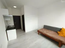 Pronájem bytu 1+kk, Sázava, Poznaňská, 18 m2