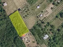 Pronájem sadu/vinice, Hustopeče, 1025 m2