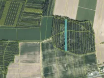 Prodej lesa, Staňkov, 4433 m2