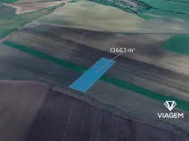 Prodej podílu pole, Smidary, 6831 m2