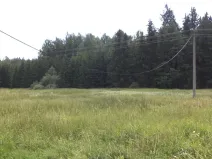 Dražba louky, Chodský Újezd, 13137 m2