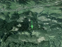 Prodej lesa, Lhota u Vsetína, 16652 m2