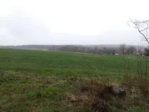 Dražba pole, Mladý Smolivec, 15075 m2