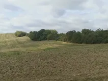 Prodej pozemku pro bydlení, Bohdalice-Pavlovice, 3936 m2