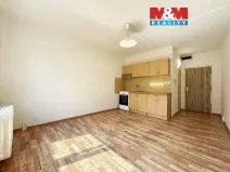 Pronájem bytu 1+kk, Karlovy Vary - Drahovice, Východní, 20 m2