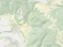 Dražba lesa, Vranová Lhota, 3744 m2