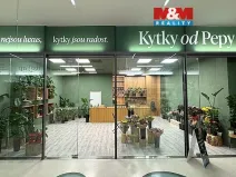 Pronájem obchodního prostoru, Brno - Brno-město, náměstí Svobody, 64 m2
