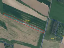 Prodej pole, Krabčice, 5441 m2