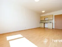 Pronájem bytu 1+kk, Olomouc, Jeremiášova, 36 m2