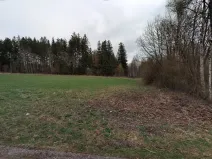 Dražba louky, Černá v Pošumaví, 2986 m2