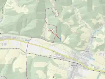 Dražba lesa, Hovězí, 2626 m2