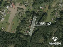 Prodej lesa, Rychvald, 9069 m2