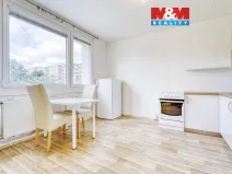 Pronájem bytu 1+1, Plzeň, Manětínská, 39 m2