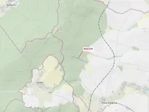 Dražba lesa, Nová Hradečná, 6275 m2