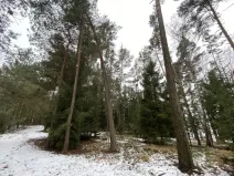 Prodej lesa, Veliny, 4517 m2