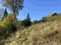 Dražba louky, Lučany nad Nisou, 179 m2