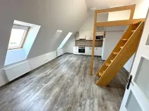 Pronájem bytu 1+kk, Praha - Vinohrady, Boleslavská, 37 m2