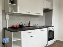 Pronájem bytu 2+1, Česká Lípa, Příbramská, 57 m2