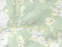 Dražba lesa, Vranová Lhota, 5323 m2