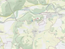 Dražba lesa, Rabí, 7006 m2