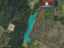 Prodej lesa, Jankovice - Seník, 21459 m2