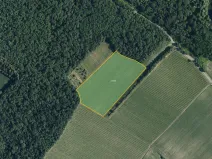 Prodej sadu/vinice, Bulhary, 63228 m2