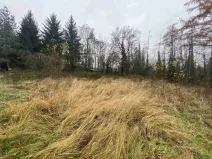 Prodej zahrady, Potěhy, 1589 m2