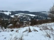 Dražba pozemku pro bydlení, Bušín, 3553 m2