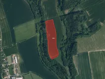 Prodej pole, Soběslavice, 41704 m2