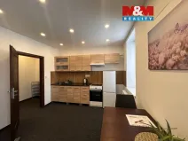 Pronájem bytu 1+kk, Příseka, 30 m2