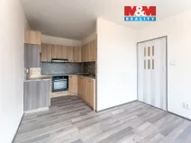 Prodej bytu 1+kk, Brandýs nad Labem-Stará Boleslav - Brandýs nad Labem, Vrbová, 30 m2