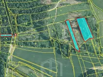 Prodej lesa, Horní Meziříčko, 6626 m2