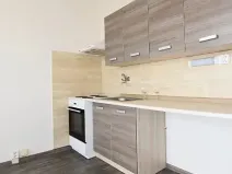 Pronájem bytu 1+1, Chomutov, Borová, 36 m2