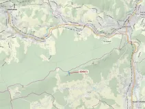 Dražba lesa, Velké Hamry, 5995 m2