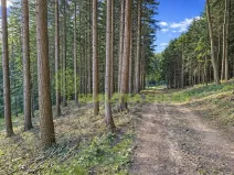 Prodej lesa, Zlín, 152613 m2