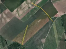 Prodej pole, Čejkovice, 8678 m2