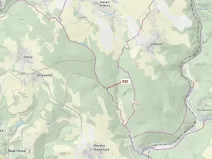 Dražba lesa, Jílové u Držkova, 967 m2