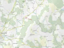 Dražba lesa, Vilice, 2384 m2