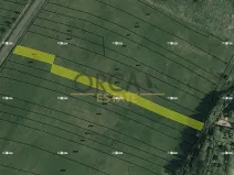 Prodej pole, Hrobice, 2279 m2