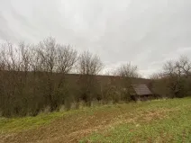 Dražba lesa, Šarovy, 11619 m2