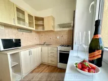 Pronájem bytu 1+1, Praha - Žižkov, U kněžské louky, 70 m2