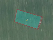 Prodej pole, Hoštka, 3568 m2