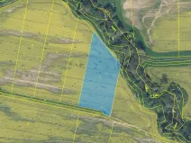 Prodej pole, Rychnov nad Kněžnou, 8230 m2